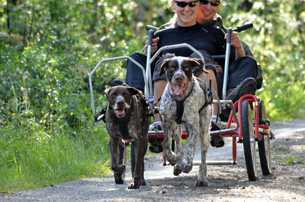 Birkelund Camping Geilo Esterno foto