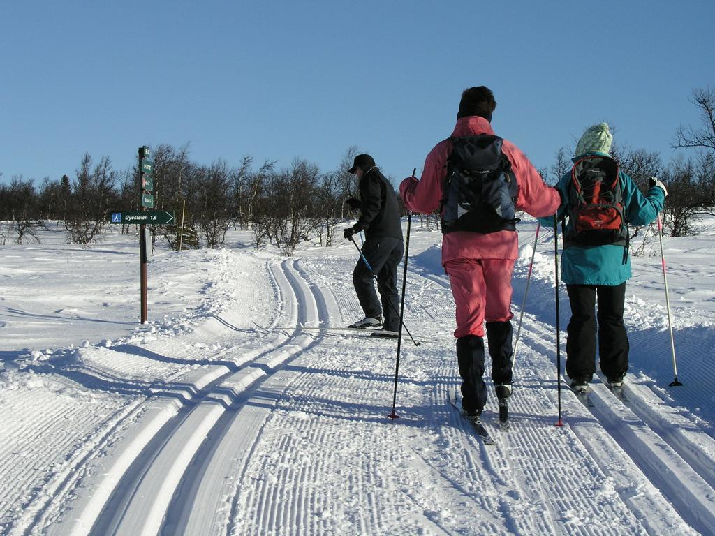 Birkelund Camping Geilo Esterno foto