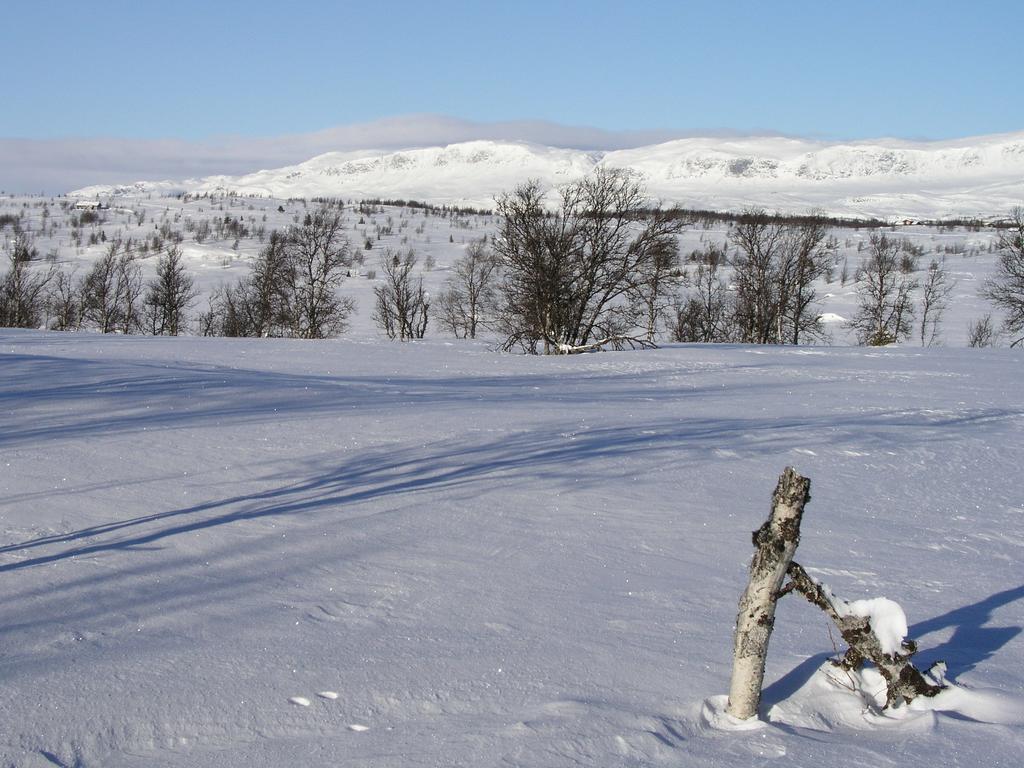Birkelund Camping Geilo Esterno foto